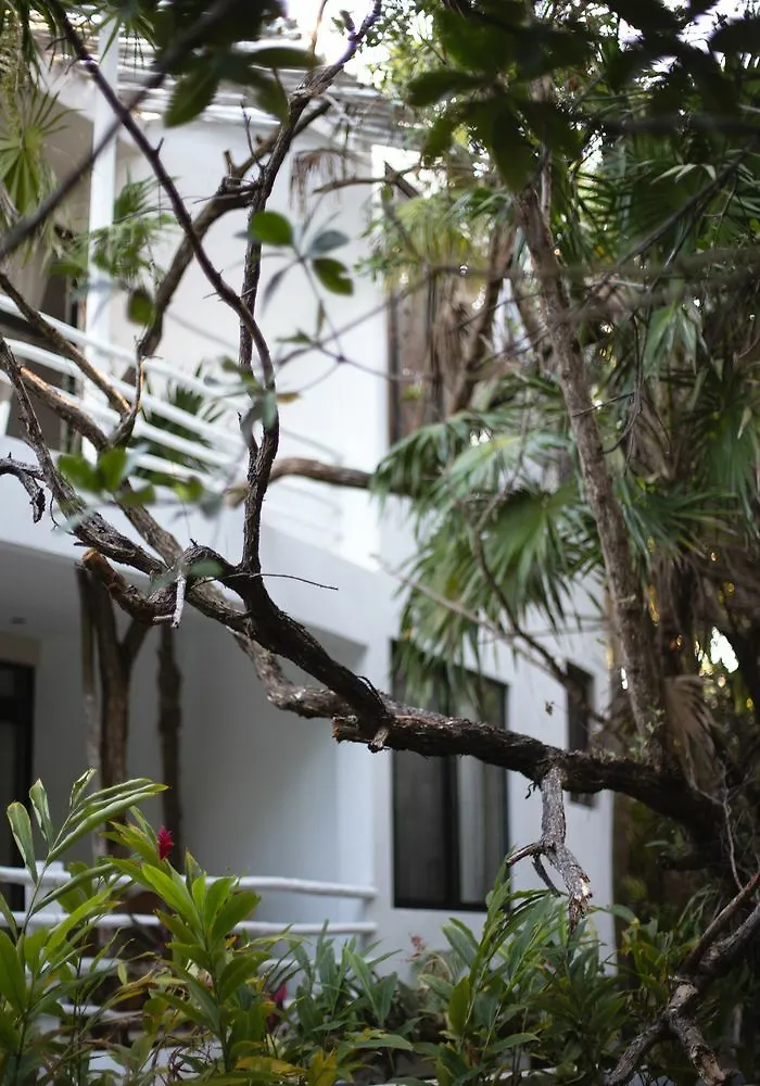 Casa Ambar Boutique Hotel Tulum (Adults Only)